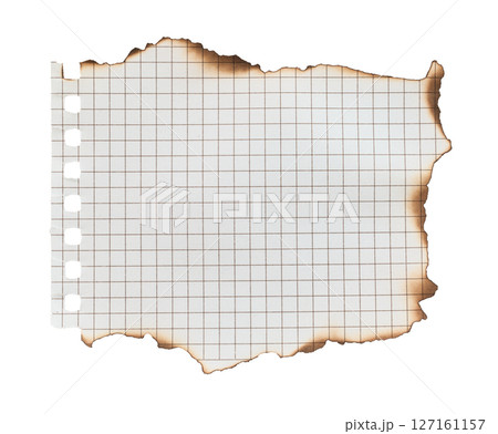 Blank burnt piece of paper from a notebook, isolated on transparent background. Office blank paper concept 127161157