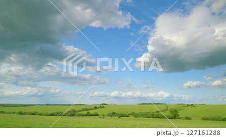 Expansive Green Fields Sprawled Under a Brilliant Blue Sky Filled with Fluffy Clouds Expansive Green Fields Sprawled Under a Brilliant Blue Sky Filled with Fluffy Clouds 127161288