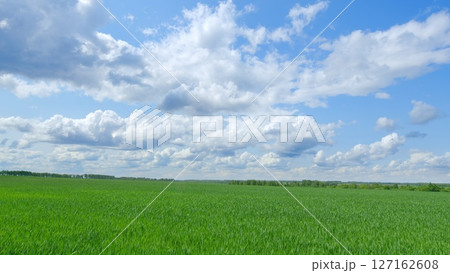 The Breathtaking and Lush Green Landscape Under a Spacious Blue Sky Radiates with Fluffy Clouds The Breathtaking and Lush Green Landscape Under a Spacious Blue Sky Radiates with Fluffy Clouds 127162608