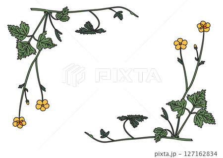 Botanical floral corner border isolated on white background. Hand drawn wildflower plant frame with yellow Flowers green Leaves Stems vector illustration. Graphic design element for Birthday Wedding Botanical floral corner border isolated on white background. Hand drawn wildflower plant frame with yellow Flowers green Leaves Stems vector illustration. Graphic design element for Birthday Wedding 127162834