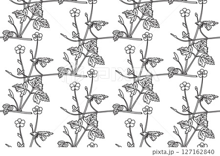 Line art botanical floral seamless pattern vector illustration. Black outline repeating wildflowers plants in white background. Graphic design for Fashion Cover Textile Wedding Print Fabric Coloring 127162840