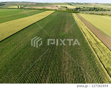 Aerial view of agricultural field Aerial view of agricultural field 127162934