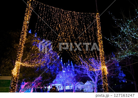かわちイルミネーション　茨城県 127163247