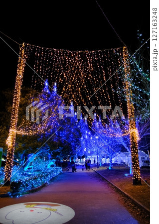 かわちイルミネーション　茨城県 127163248