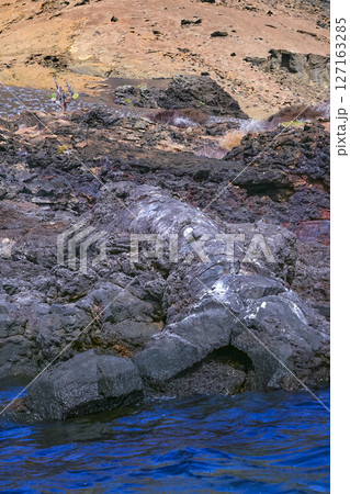 Volcanic Landscape, Galapagos National Park 127163285