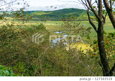 釧路湿原。コッタロ湿原展望台。日本最大の湿原・湿地。中心部はラムサール条約登録湿地。 127163519