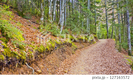 Ordesa y Monte Perdido National Park, Spain Ordesa y Monte Perdido National Park, Spain 127163572