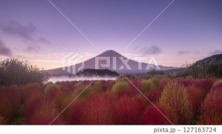 富士山とコキアの見える湖 富士山とコキアの見える湖 127163724