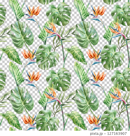 Green monstera leaves and strelitzia flowers seamless pattern. Hand drawn watercolor illustration isolated. For greeting cards, invitations, textiles, fabrics, wrapping paper, wallpapers, covers. Green monstera leaves and strelitzia flowers seamless pattern. Hand drawn watercolor illustration isolated. For greeting cards, invitations, textiles, fabrics, wrapping paper, wallpapers, covers. 127163907