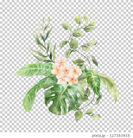 Tropical bouquet with plumeria flowers, monstera leaves, palm and liana. Hand drawn watercolor illustration isolated on white. For greeting cards, invitations, summer banners, posters, labels. Tropical bouquet with plumeria flowers, monstera leaves, palm and liana. Hand drawn watercolor illustration isolated on white. For greeting cards, invitations, summer banners, posters, labels. 127163919