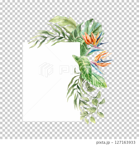 Tropical corner frame with monstera leaves, palm trees, strelitzia flowers. Hand drawn watercolor illustration isolated. For cards, invitations, textiles, fabrics, wrapping paper, wallpapers, covers. 127163933