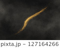 黒背景に舞うゴールドラインと湯気（料理背景） 127164266