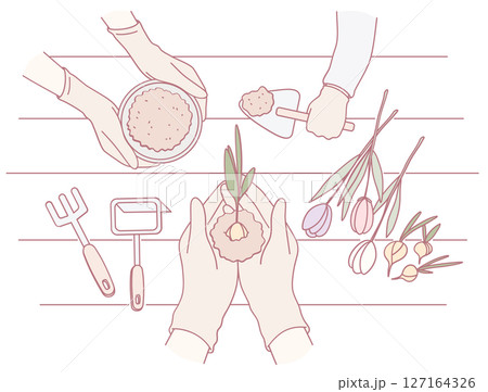 Hands Engaged in Planting Colorful Bulbs Using Gardening Tools Surrounded by Beautiful Flowers 127164326