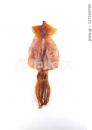 スルメイカ 127164789