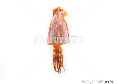 スルメイカ 127164791