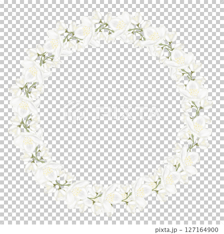 Jasmine white flower watercolor round frame. Hand drawn bud delicate in the shape of a heart. Clip art botanical on white background. Ideal for logo of tea and aromatic products from jasmine 127164900