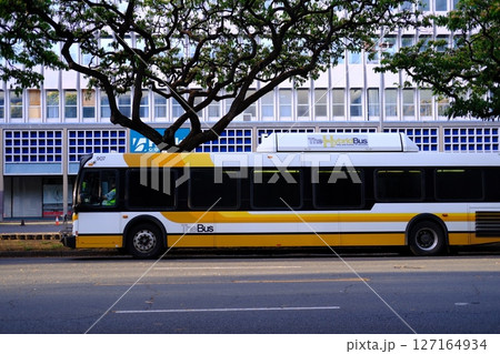 バス停に停車するホノルルのバス 127164934