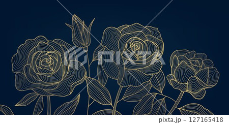 Vector line golden roses background, elegant flowers japanese illustration, nature floral blossom ornate. Garden romantic wallpaper. 127165418