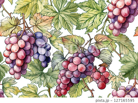 Seamless vector pattern with ripe grape 127165595