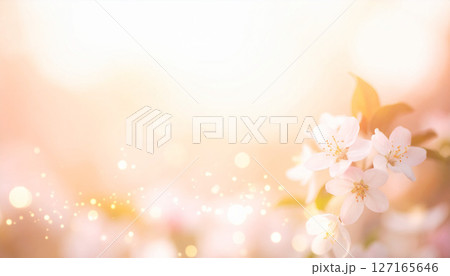 桜の花と春の柔らかな光 127165646