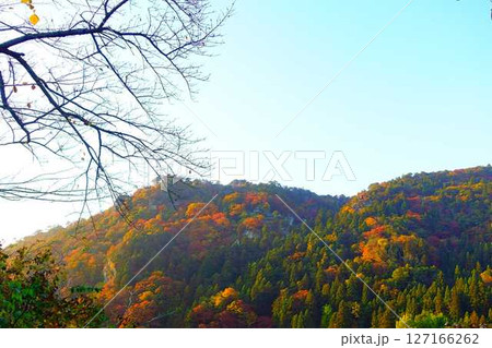 立石寺　山寺　紅葉　黄葉 127166262