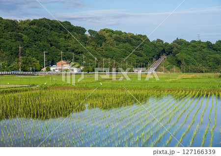 箕輪耕地の風景　水道坂 127166339