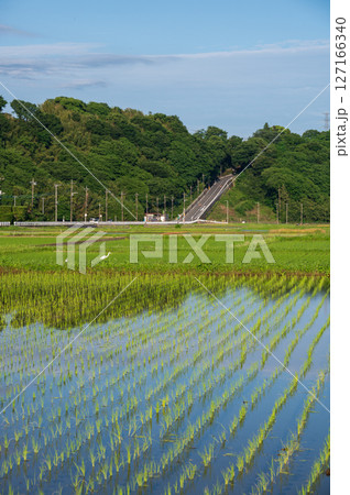 箕輪耕地の風景 水道坂 箕輪耕地の風景 水道坂 127166340