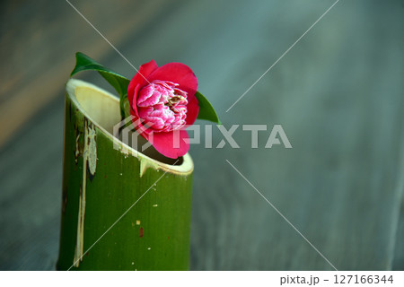 竹の花器の椿の花 竹の花器の椿の花 127166344