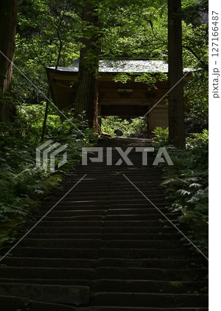 苔むした寺の山門 127166487