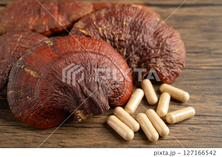 Dried lingzhi mushroom with capsule drug, alternative medicine herbal organic herb. 127166542