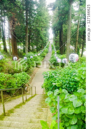 磯山神社　紫陽花神社　参道 127166625