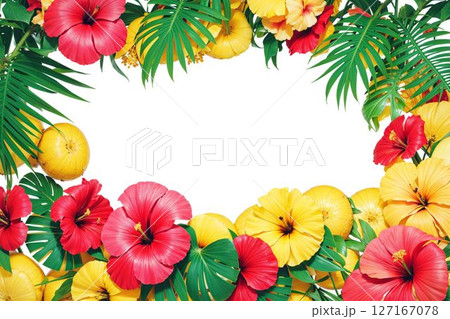 トロピカルフレーム トロピカルフレーム 127167078