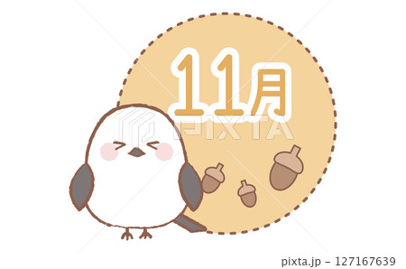シマエナガとどんぐりの11月イラストのイラスト素材 [127167639] - PIXTA