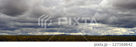 Stormy Skies Sonoran Desert Arizona 127168642