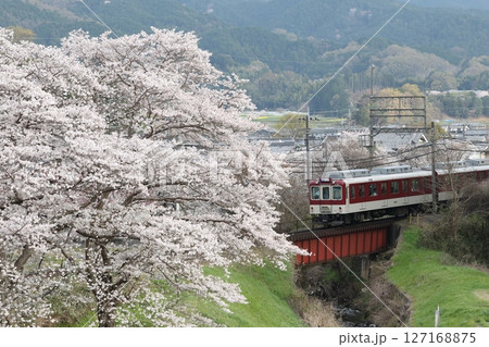 近鉄吉野線と桜 127168875