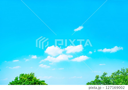 青空と雲と木立 127169002