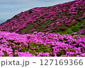 ミヤマキリシマの咲く平治岳 127169366