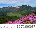 ミヤマキリシマの咲く平治岳から見るくじゅう連山 127169367