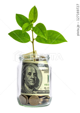 Money Plant in a Jar Illustrates Financial Growth and Investment Money Plant in a Jar Illustrates Financial Growth and Investment 127169727