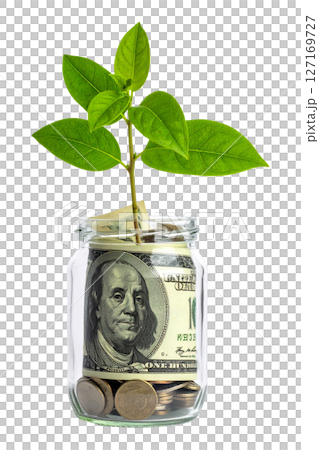 Money Plant in a Jar Illustrates Financial Growth and Investment Money Plant in a Jar Illustrates Financial Growth and Investment 127169727