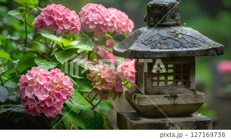 雨の庭園に咲く紫陽花と苔むした石灯籠 127169738