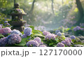 紫陽花と石灯籠が織りなす日本の庭園風景 127170000