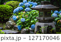 紫陽花と石灯籠が織りなす日本の庭園風景 127170046