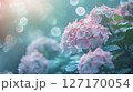 幻想的なパステルカラーの紫陽花 127170054