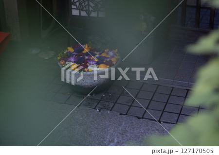 神社の花手水、日本の手水舎 127170505