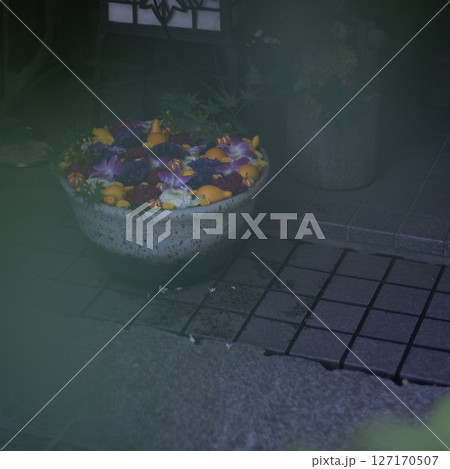 神社の花手水、日本の手水舎 127170507