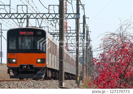 ［TN］東武伊勢崎線50050系（東京メトロ半蔵門線直通） 127170773
