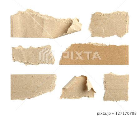 Assorted Ripped Kraft Paper Pieces Assorted Ripped Kraft Paper Pieces 127170788