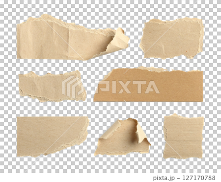 Assorted Ripped Kraft Paper Pieces 127170788