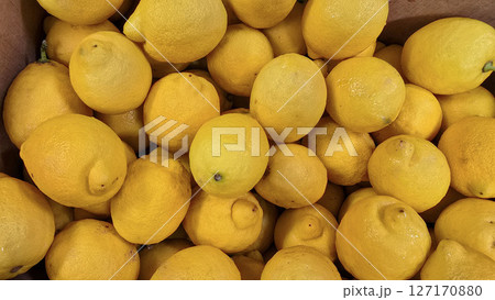 Fresh Yellow Lemons Piled in a Box Displaying Vivid Color and Texture. Lemon stack. A vibrant image of fresh, ripe lemons top view. Rich vitamin c, natural and fresh lemon stack Fresh Yellow Lemons Piled in a Box Displaying Vivid Color and Texture. Lemon stack. A vibrant image of fresh, ripe lemons top view. Rich vitamin c, natural and fresh lemon stack 127170880